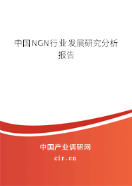 中國NGN行業發展研究分析報告