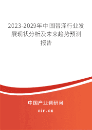 2023-2029年中國普澤行業發展現狀分析及未來趨勢預測報告