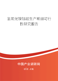 氫氧化鎳鈷錳生產(chǎn)項目可行性研究報告