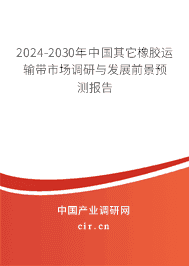 2023-2029年中國其它橡膠運(yùn)輸帶市場調(diào)研與發(fā)展前景預(yù)測報(bào)告