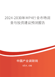 2023-2029年MP4行業市場調查與投資建議預測報告
