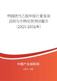 中國硫代乙酸甲酯行業發展調研與市場前景預測報告（2025-2031年）