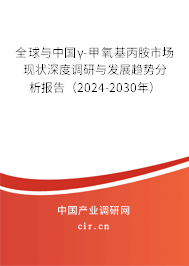 全球與中國γ-甲氧基丙胺市場現狀深度調研與發展趨勢分析報告（2024-2030年）