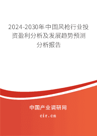 2023-2029年中國風槍行業投資盈利分析及發展趨勢預測分析報告