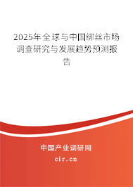 2025年全球與中國綁絲市場調查研究與發展趨勢預測報告