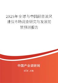 2025年全球與中國超音波風速儀市場調查研究與發展前景預測報告
