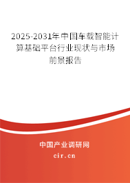 2025-2031年中國車載智能計算基礎平臺行業現狀與市場前景報告
