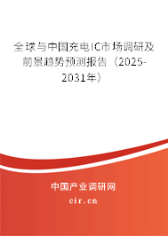 全球與中國充電IC市場調研及前景趨勢預測報告（2025-2031年）