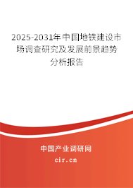 2025-2031年中國地鐵建設市場調查研究及發展前景趨勢分析報告