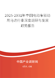 2025-2031年中國電動車驅動用馬達行業深度調研與發展趨勢報告