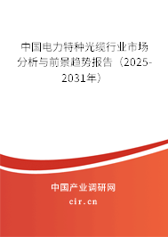 中國電力特種光纜行業市場分析與前景趨勢報告（2025-2031年）