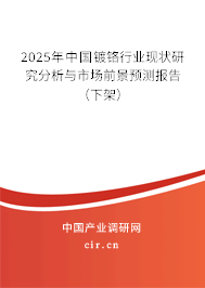 2025年中國鍍鉻行業現狀研究分析與市場前景預測報告（下架）