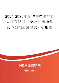 2024-2030年全球與中國非易失性存儲器（NVM）市場深度調研與發展趨勢分析報告