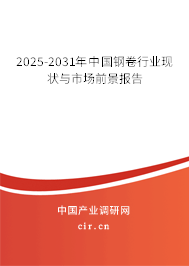 2025-2031年中國(guó)鋼卷行業(yè)現(xiàn)狀與市場(chǎng)前景報(bào)告