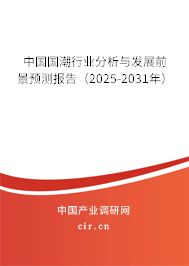 中國國潮行業分析與發展前景預測報告（2025-2031年）