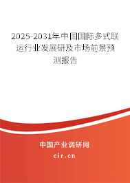 2025-2031年中國國際多式聯(lián)運行業(yè)發(fā)展研及市場前景預(yù)測報告