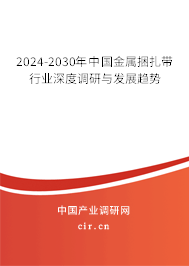2024-2030年中國金屬捆扎帶行業深度調研與發展趨勢