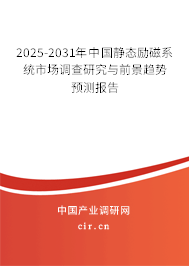 2025-2031年中國靜態勵磁系統市場調查研究與前景趨勢預測報告