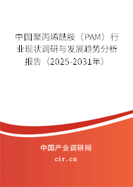 中國聚丙烯酰胺（PAM）行業現狀調研與發展趨勢分析報告（2025-2031年）