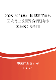 2025-2031年中國鋰離子電池回收行業發展深度調研與未來趨勢分析報告