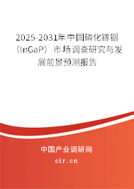2025-2031年中國磷化鎵銦（InGaP）市場調查研究與發展前景預測報告