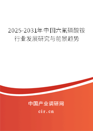 2025-2031年中國六氟磷酸銨行業(yè)發(fā)展研究與前景趨勢