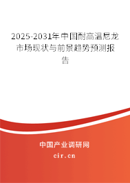 （最新）中國耐高溫尼龍市場現(xiàn)狀與前景趨勢預測報告