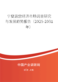 寧夏露營經濟市場調查研究與發展趨勢報告（2025-2031年）
