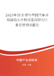 2025年版全球與中國汽車點煙器插頭市場深度調研與行業前景預測報告