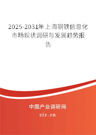 2025-2031年上海鋼鐵信息化市場現狀調研與發展趨勢報告