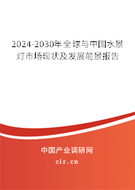 2024-2030年全球與中國水景燈市場現狀及發展前景報告