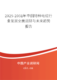 2025-2031年中國特種電纜行業發展全面調研與未來趨勢報告