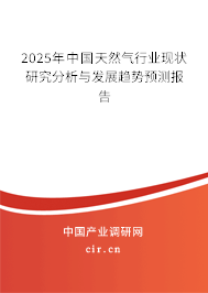 2025年中國(guó)天然氣行業(yè)現(xiàn)狀研究分析與發(fā)展趨勢(shì)預(yù)測(cè)報(bào)告