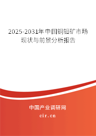 2025-2031年中國(guó)銅鉬礦市場(chǎng)現(xiàn)狀與前景分析報(bào)告