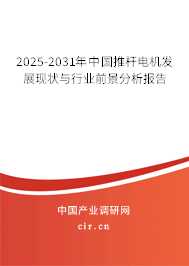 2024-2030年中國推桿電機發展現狀與行業前景分析報告