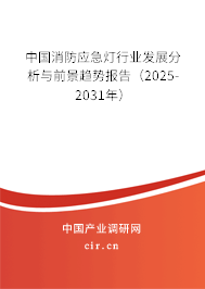中國消防應急燈行業發展分析與前景趨勢報告（2025-2031年）
