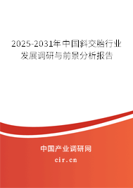 2025-2031年中國(guó)斜交胎行業(yè)發(fā)展調(diào)研與前景分析報(bào)告