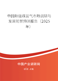 中國新疆煤層氣市場調研與發展前景預測報告（2025年）