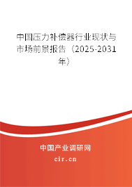 中國(guó)壓力補(bǔ)償器行業(yè)現(xiàn)狀與市場(chǎng)前景報(bào)告（2025-2031年）