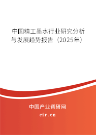 中國精工墨水行業研究分析與發展趨勢報告（2025年）
