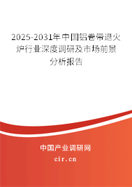 2025-2031年中國鋁卷帶退火爐行業深度調研及市場前景分析報告