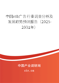 中國rtb廣告行業調查分析及發展趨勢預測報告（2024-2030年）