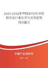 2025-2031年中國BMS電池管理系統行業現狀與前景趨勢預測報告