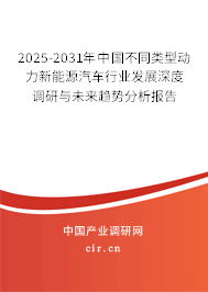 2025-2031年中國不同類型動力新能源汽車行業發展深度調研與未來趨勢分析報告