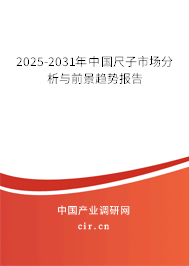 2025-2031年中國尺子市場分析與前景趨勢報告