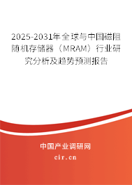 2025-2031年全球與中國磁阻隨機存儲器（MRAM）行業研究分析及趨勢預測報告