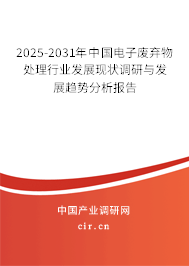 2025-2031年中國電子廢棄物處理行業發展現狀調研與發展趨勢分析報告