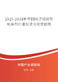2025-2031年中國(guó)電子組裝用粘合劑行業(yè)現(xiàn)狀與前景趨勢(shì)