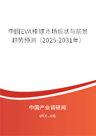 中國EVA棒球市場現(xiàn)狀與前景趨勢預測（2025-2031年）