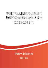 中國浮動太陽能光伏系統市場研究及前景趨勢分析報告（2025-2031年）